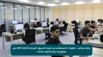 رابط مباشر.. خطوات الاستعلام عن نتيجة تنسيق المرحلة الثالثة 2025 عبر موقع tansik.digital.gov.eg